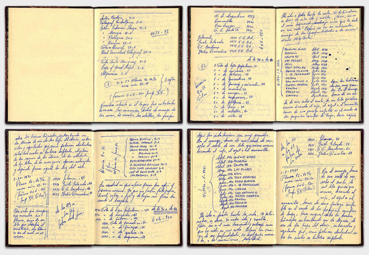 Dobles páginas de un cuaderno de notas de un fotógrafo realizadas por Fabián Sanguinetti emulando una escritura antigua para la película La puta y la ballena.